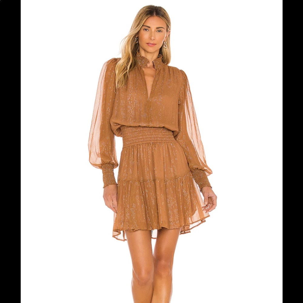 ALC silver dress in butterscotch
